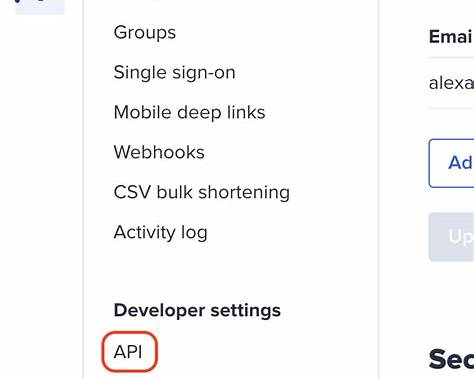 How to generate Bitly OAuth access token? 4 image 5 at Codehaveli